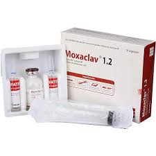 product name